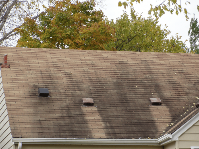 Discolored Roof Shingles