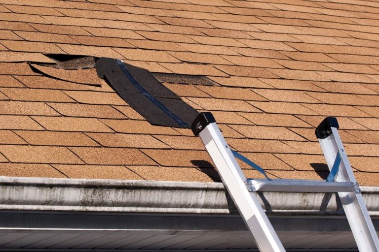 Roof Shingles Lifting Up Causes, Risks, and Solutions