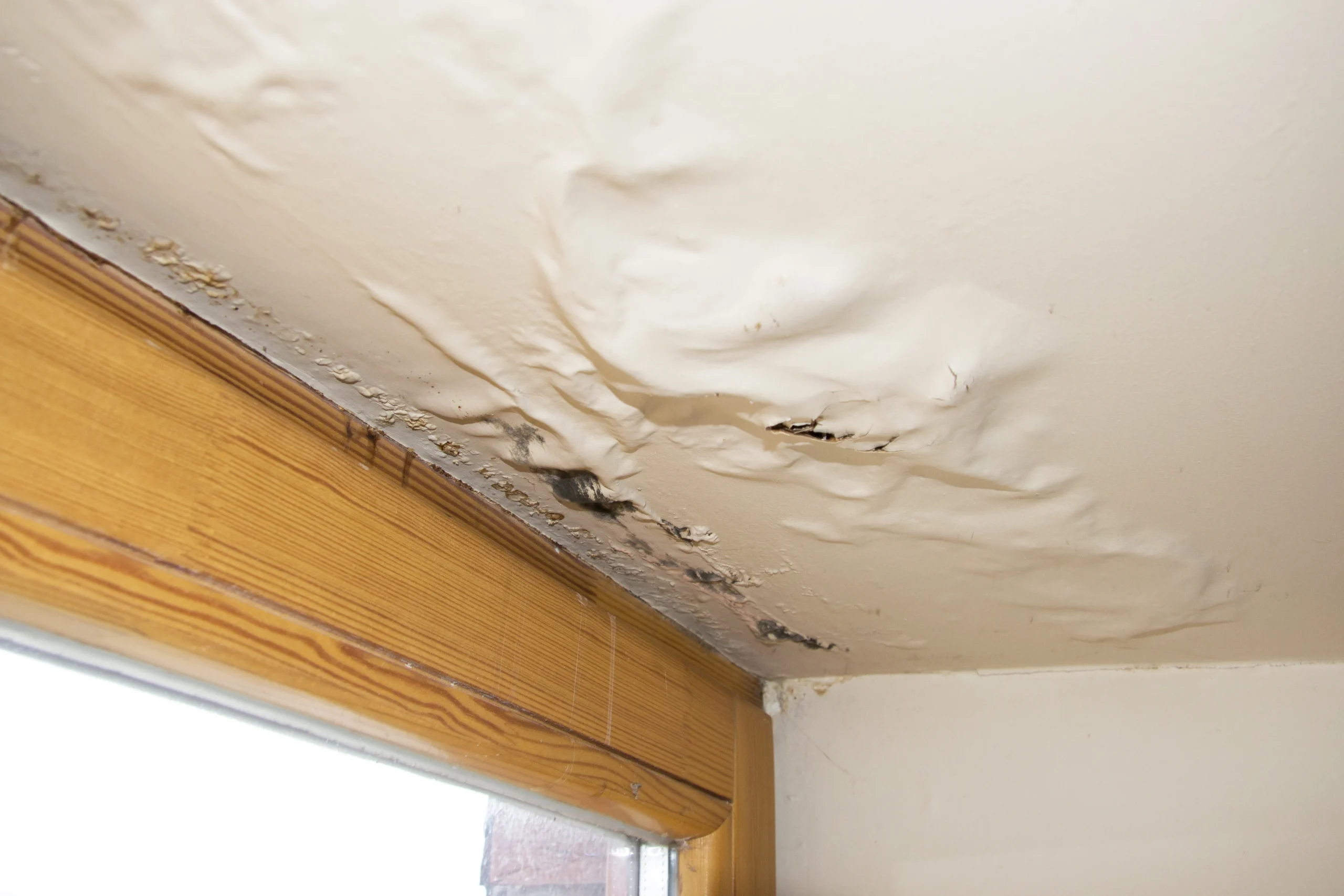 Water Damage During Roof Replacement: Causes, Prevention, and Remedies
