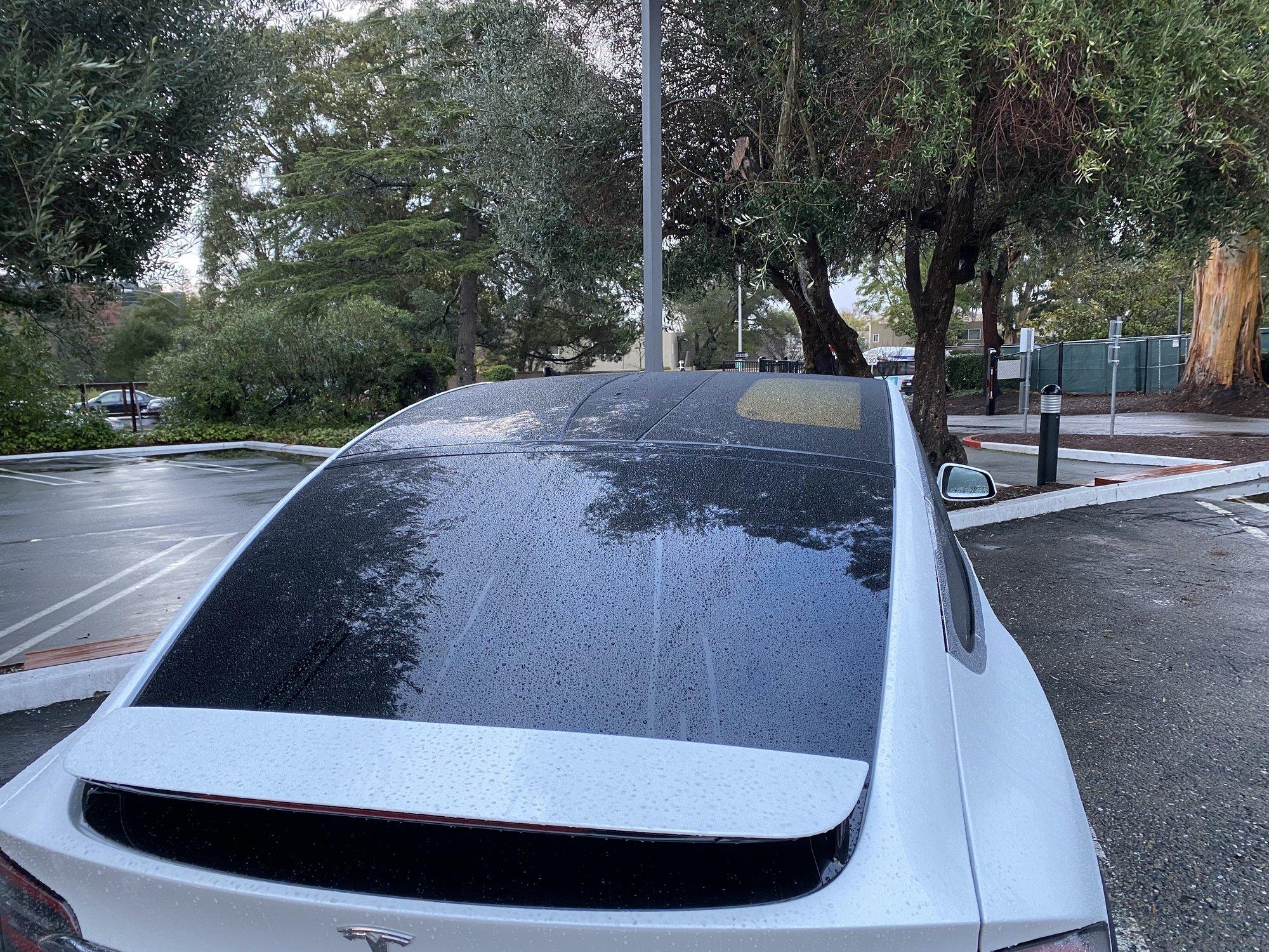 Tesla Model X Glass Roof Replacement Cost: What You Need to Know