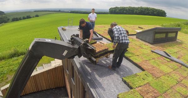 How Much Does It Cost To Install A Green Roof