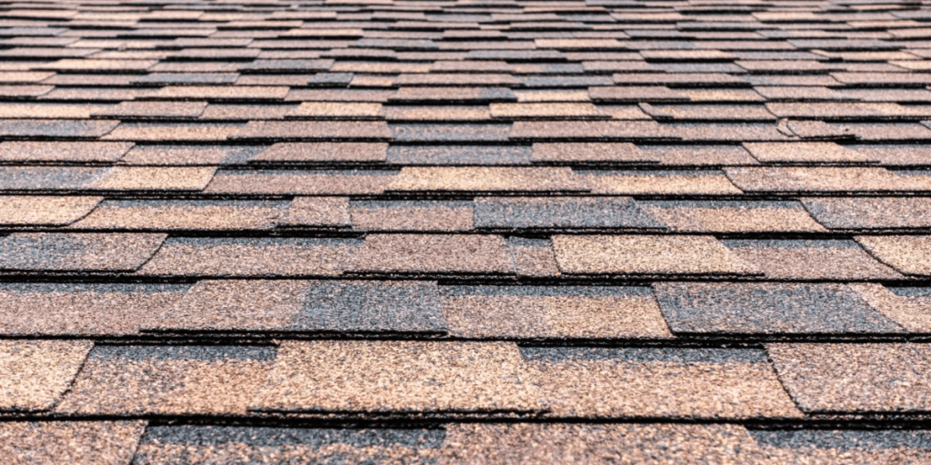 Asphalt Shingle Roof Life Expectancy