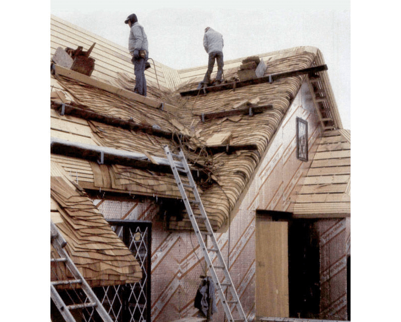 Thatched Roof Vs Shingles