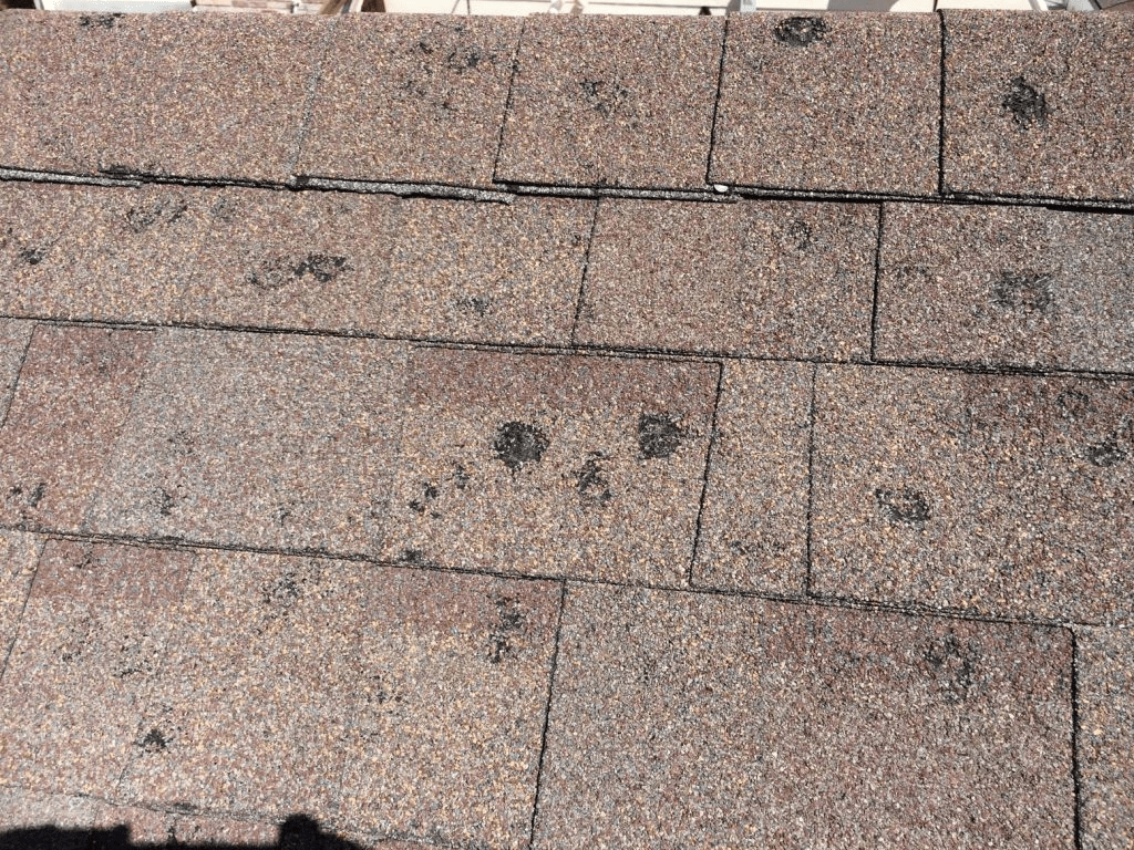 Hail Damage To Roof Shingles