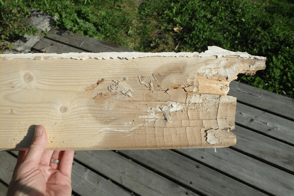 Rotted Roof Rafter Repair: Save Your Home from Structural Damage