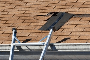 Shingles Falling Off Roof