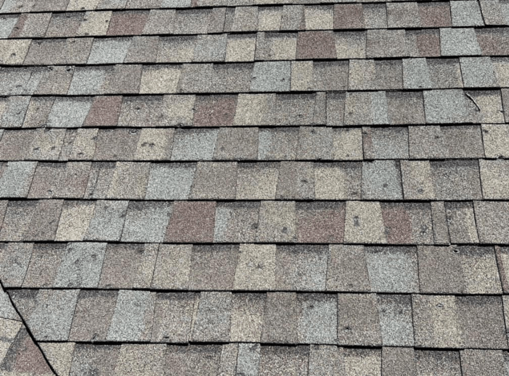 Roof Shingles Hail Damage: What Homeowners Need to Know