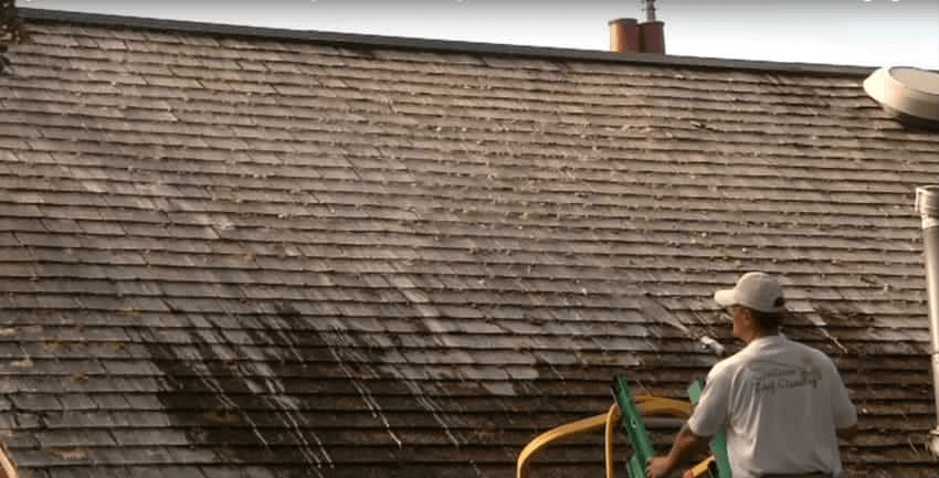 Cedar Shingle Roof Maintenance