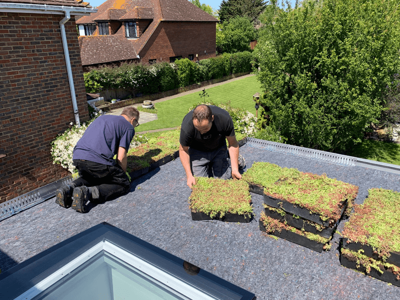 Green Roof Installation Cost