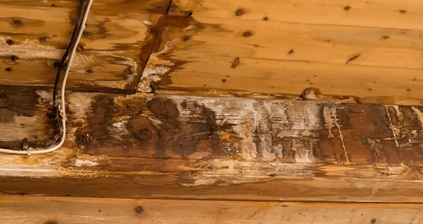 Roof Repair Water Damage