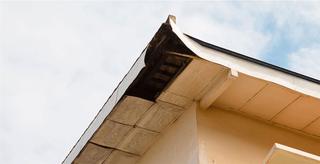 Roof Fascia Repair Cost