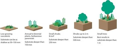 Types Of Green Roof