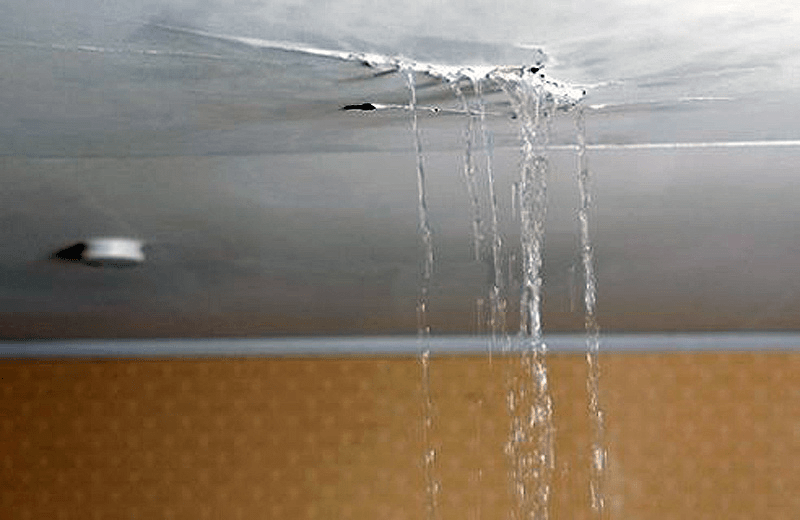 I Just Bought a House and the Roof Is Leaking: What to Do Next