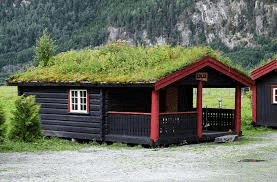 Why Do Houses In Norway Have Grass On The Roof? A Look Into Tradition, Functionality, and Beauty