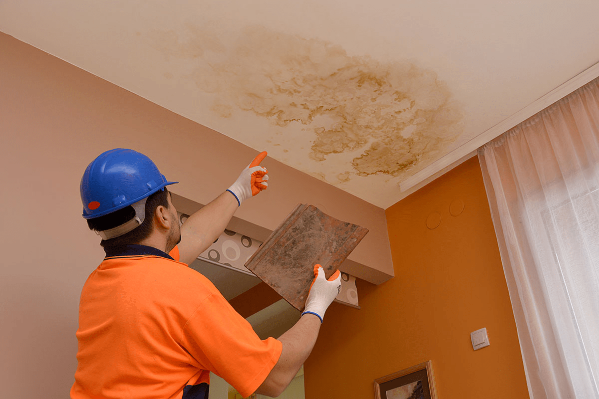 What To Do If I Bought A House And Now The Roof Is Leaking: A Comprehensive Guide