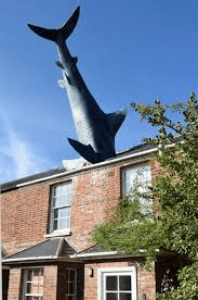 Where Is The House With A Shark In The Roof? A Fascinating Look at the Shark House and Its History