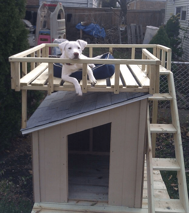 Building Dog House Style Roof Over Patio Into Roof Line