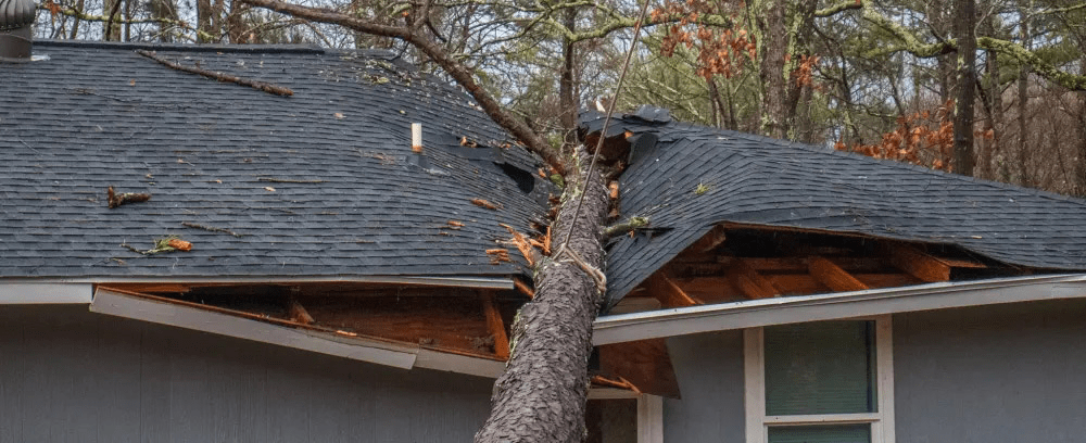 How Bad Is Roof Damage From Tree Falling On House? Everything You Need to Know About Risks and Repairs