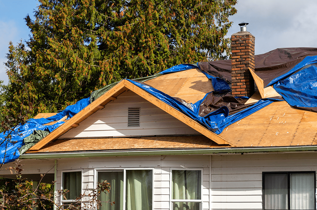 How Many Lawyers Does It Take To Roof A House? A Playful Look at Legal Minds and Roofing Realities