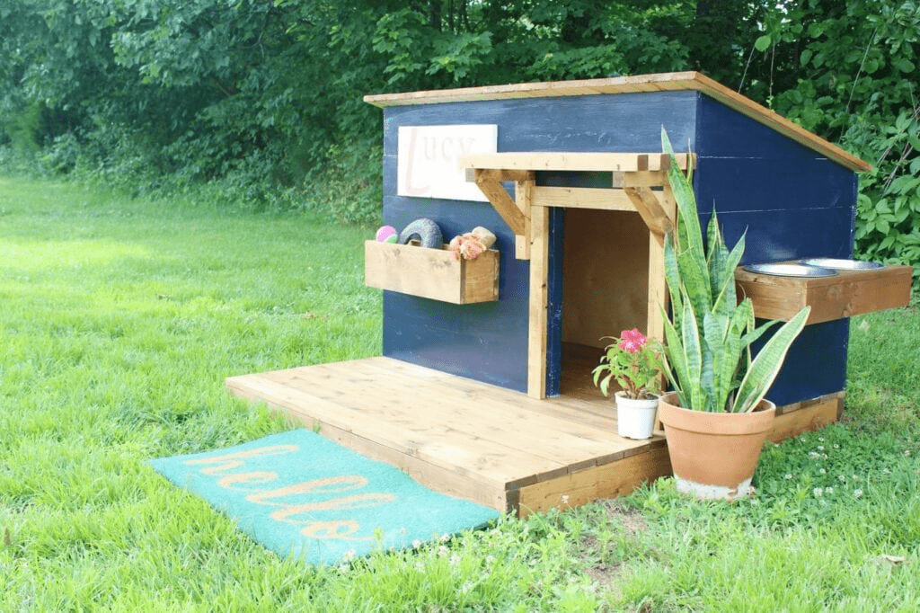 How To Build A Dog House With A Flat Roof – A Complete DIY Guide for Comfort and Style