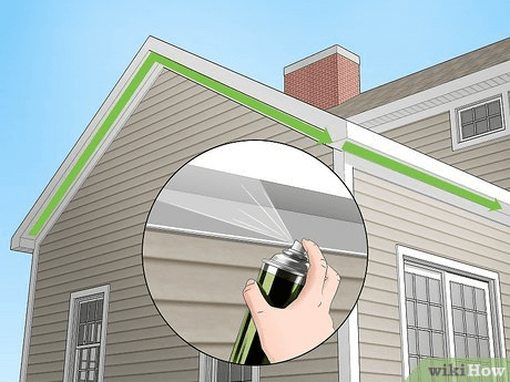 How To Get Rid Of Wasps On Roof Of House Safely and Effectively