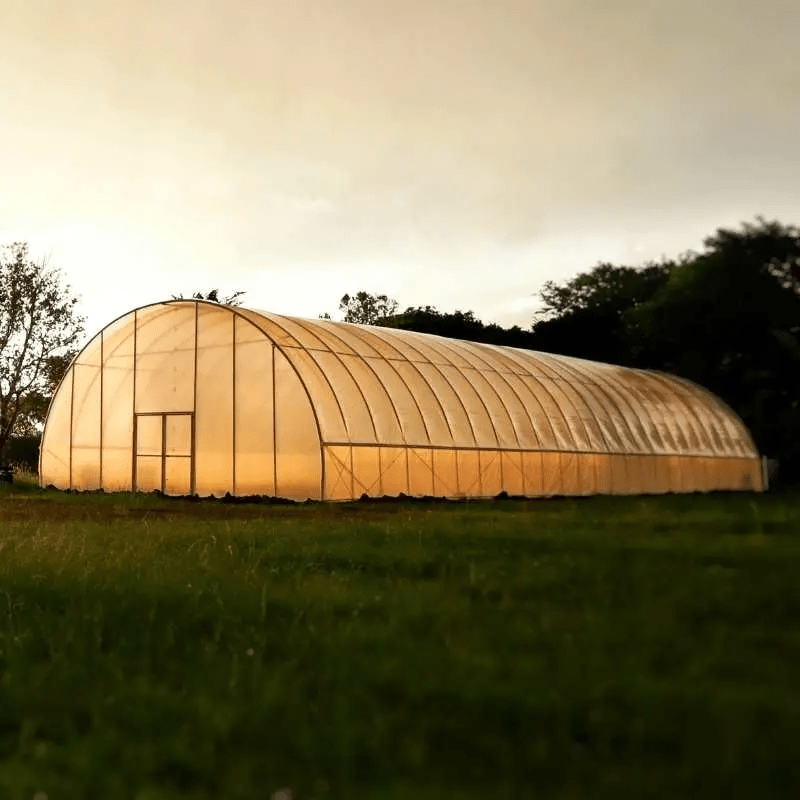 How To Calculate The Circumference Of A Hoop House Roof: A Step-by-Step Guide for Growers