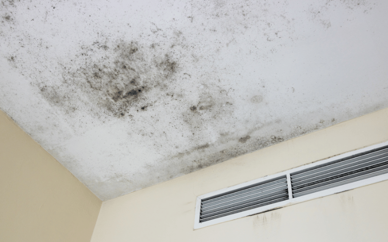 My Roof Started Leaking 4 Months After Buying A House: What You Need to Know