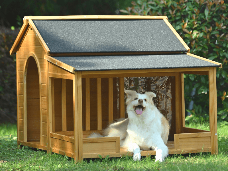Out Door Med Dog Houses With Extended Roof And Stand
