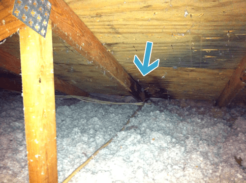 Water Leaking On Lines From Roof Entire House Around Plywood