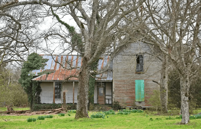 White House With Green Tin Roof Abandoned in TN Near Throne Hill