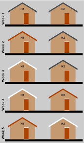 Does The Color Of Your Roof Affect House Temperature?