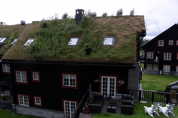 Why Do Norwegian Houses Have Grass On The Roof?