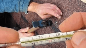 What Temperature Is Too Cold To Roof A House?