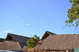 The Roof In Some Dominican Houses Is Made Of Palm & Tin